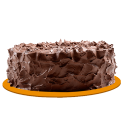 Double Chocolate Cake