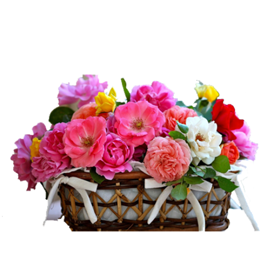 Imported flower love arrangement