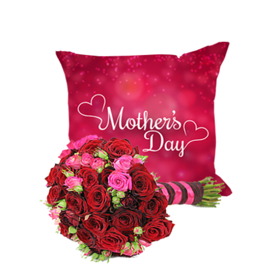 Mother's Love Cushion