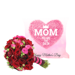 Mother's Love Cushion