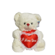 Teddy bear with heart